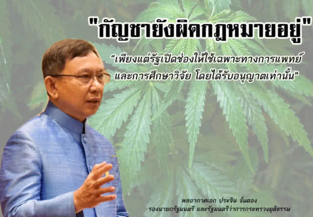 ป.ป.ส.เตือนโพสต์ซื้อ-ขาย"กัญชา" ผิดกฎหมาย