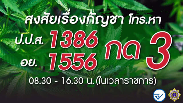 ป.ป.ส.เตือนโพสต์ซื้อ-ขาย"กัญชา" ผิดกฎหมาย