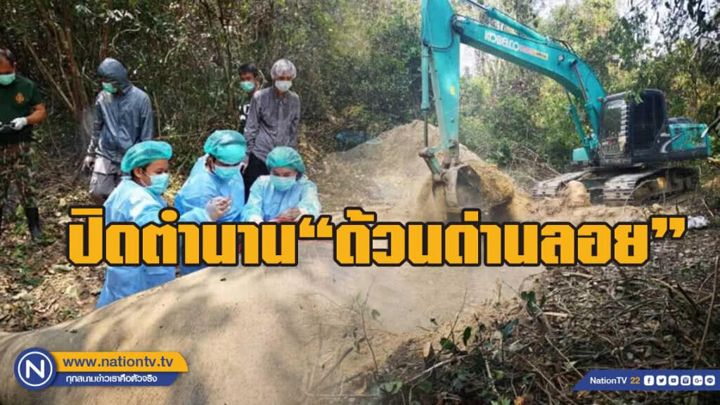 ปิดตำนาน "ด้วนด่านลอย" เจ้าหน้าที่ทำพิธีฝังกลบแล้ว คาดหางติดเชื้อ