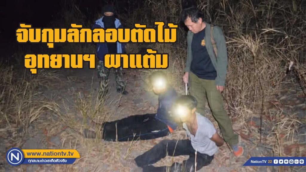 รวบตัวขบวนการลักลอบทำไม้และรับซื้อไม้ประดู่ ส่งข้ามแดนในเขตอุทยานแห่งชาติผาแต้ม