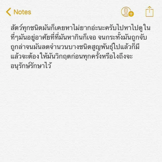 "ปั้นจั่น" ขอโทษ! แฮชแท็กดราม่าปลากระเบน ยันไม่เจตนาว่าช่องไหน เพราะดูยูทูปไม่มีโลโก้