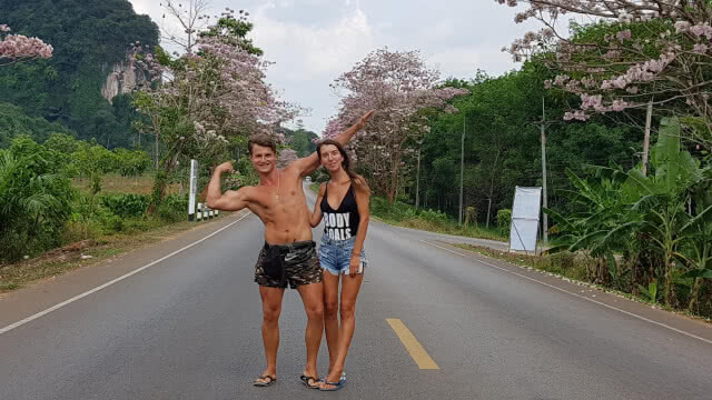 ตื่นตาเสน่ห์ หน้าร้อน พวงชมพูบานสะพรั่ง