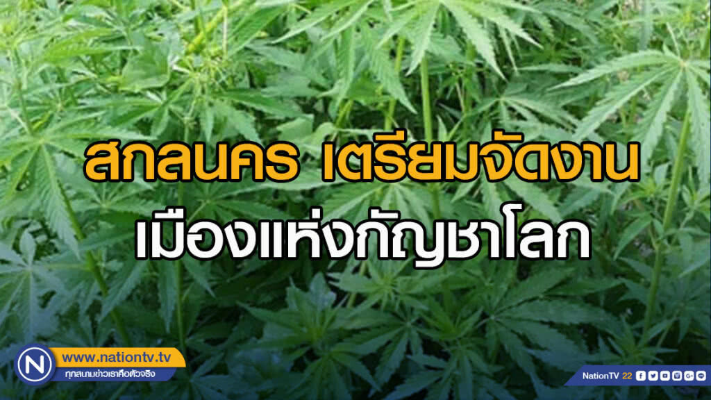 สกลนคร เตรียมจัดงานเมืองแห่งกัญชาโลก