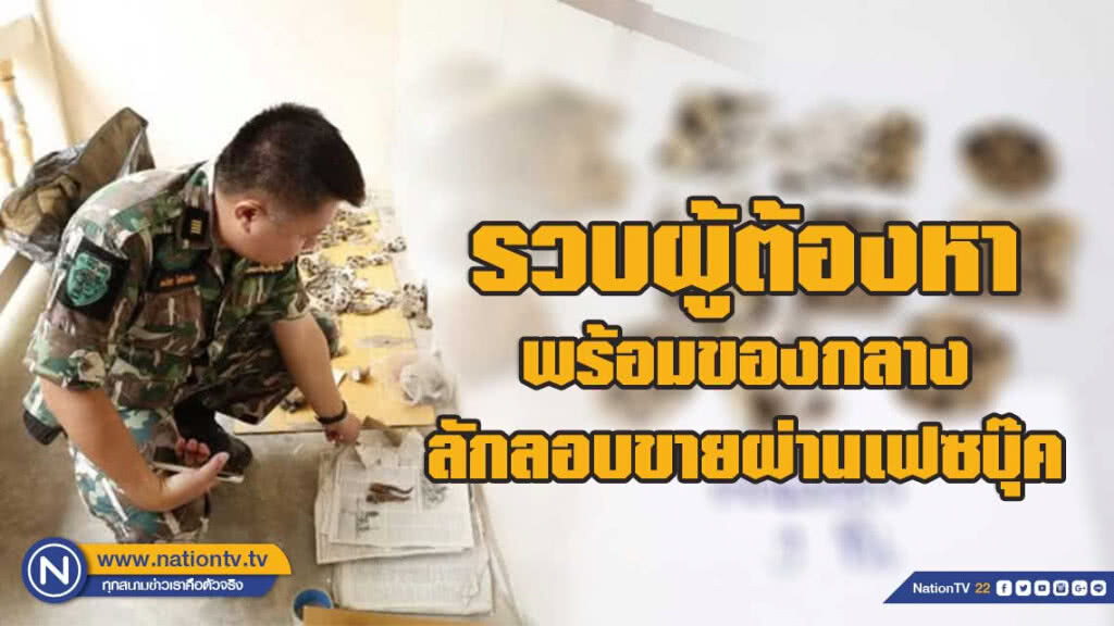 ยึดซากเสือสัตว์ป่าคุ้มครองมูลค่ากว่า 4 แสนบาท ยึดซากเสือสัตว์ป่าคุ้มครองมูลค่ากว่า 4 แสนบาท