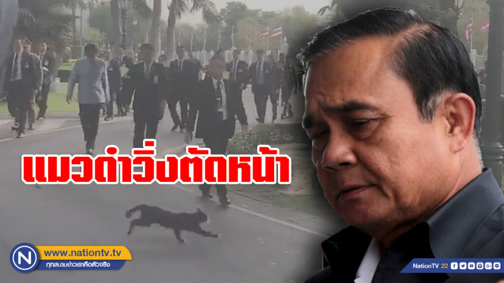 หึ่งลางไม่ดี! แมวดำวิ่งตัดหน้า "บิ๊กตู่" (มีคลิป)