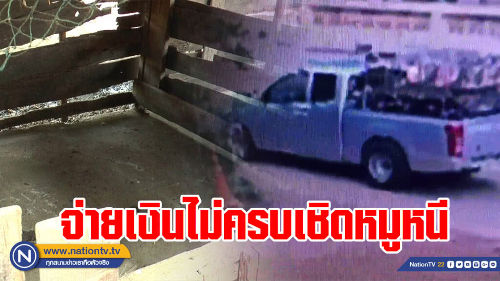 มิจฉาชีพหลอกซื้อหมูจ่ายเงินไม่ครบเชิดหมูหนี