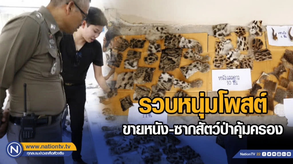 รวบหนุ่มโพสต์ขายหนัง-ซากสัตว์ป่าคุ้มครอง