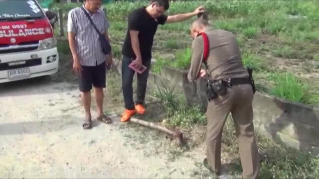ฉุนเพื่อนปลุกมาด่า กระหน่ำด้วยไม้ยูคาฯดับ