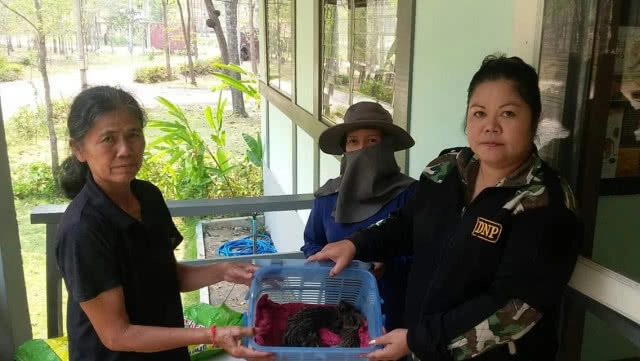 พบลูกชะมดเช็ด 3 ตัว ในไร่อ้อย! ผู้ใหญ่บ้านแจ้งเขตฯ ห้วยขาแข้ง รับไปดูแล