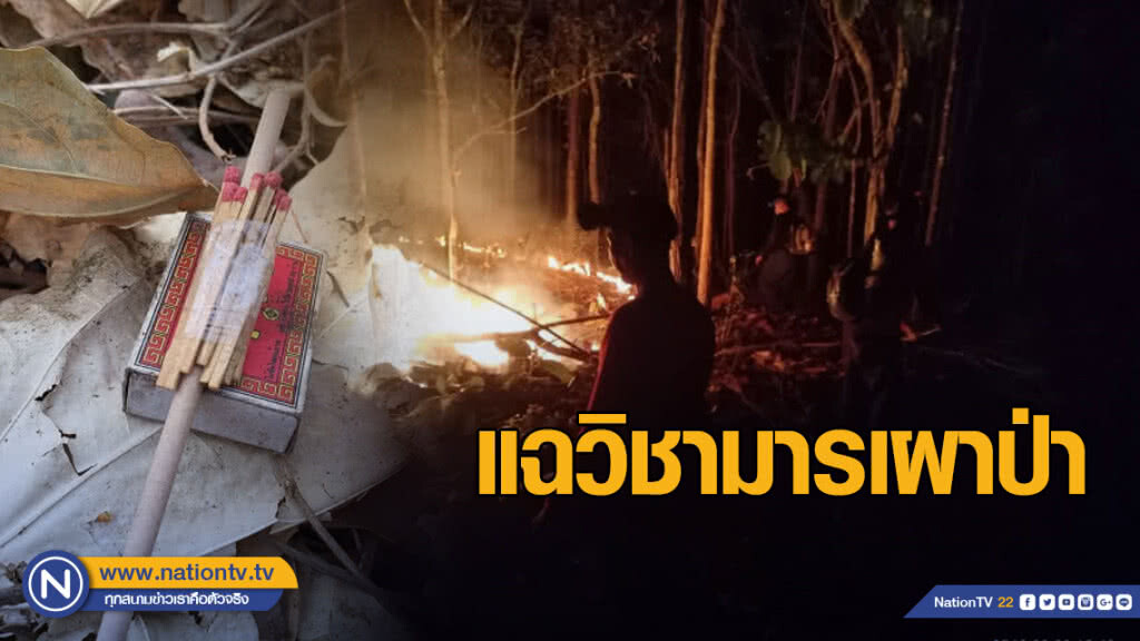 แฉวิชามาร "ธูปเพลิง" เผาป่า แฉวิชามาร "ธูปเพลิง" เผาป่า