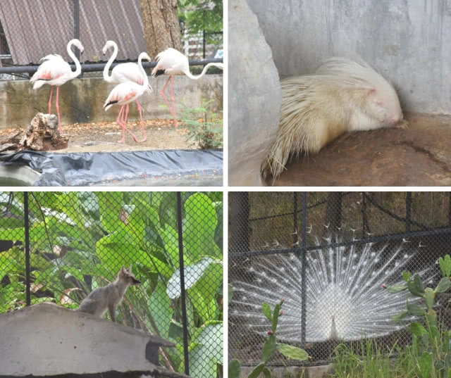 Chic-In : พาโค่ โฮเทล เขาใหญ่ โรงแรมใหม่ บรรยากาศรื่นรมย์ เงียบสงบ คาเฟ่เก๋ อาหารอร่อย