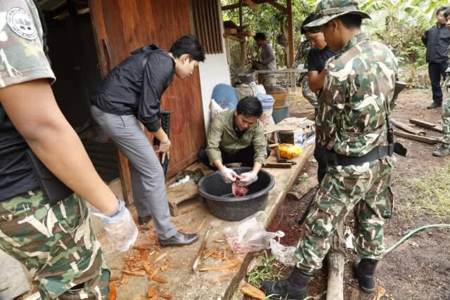 หน่วยพิทักษ์อช.ธารเสด็จ- เกาะพะงัน เข้าช่วยกวางป่าพลัดหลงถูกสุนัขไล่ทำร้าย พบมีรอยถลอกเล็กน้อย