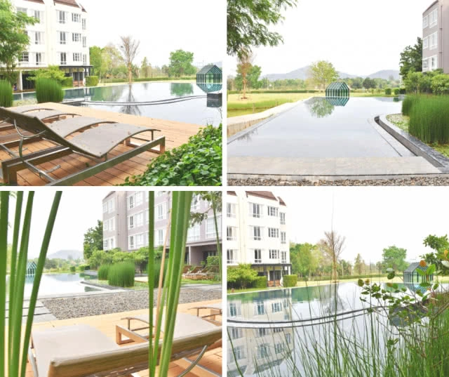 Chic-In : พาโค่ โฮเทล เขาใหญ่ โรงแรมใหม่ บรรยากาศรื่นรมย์ เงียบสงบ คาเฟ่เก๋ อาหารอร่อย