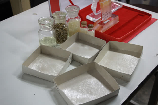 ม.นเรศวร เจ๋งผลิตภาชนะอาหารชีวภาพ รักษาสวล.-ลดภาวะโลกร้อน