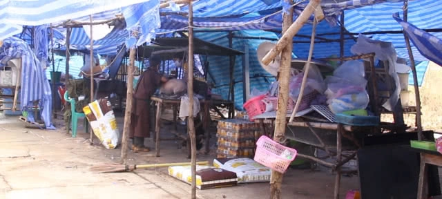 ย้ายหมาป้าเดือน 500 ตัว ไปปากช่อง