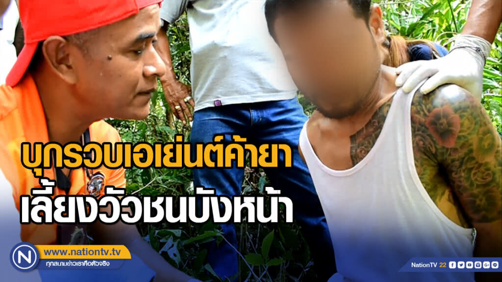 บุกรวบเอเย่นต์ค้ายา เลี้ยงวัวชนบังหน้า บุกรวบเอเย่นต์ค้ายา เลี้ยงวัวชนบังหน้า
