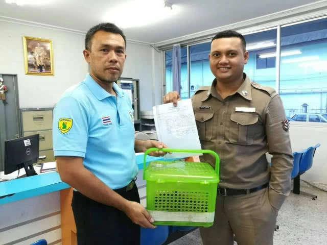 ช่วย! "แมวดาว" ถูกทิ้งข้างทาง