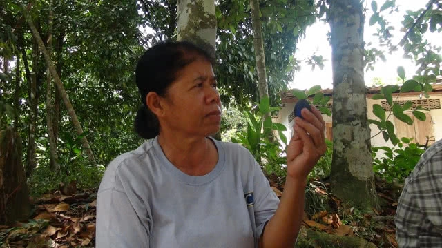 หินปริศนา เปลี่ยนสี  เมื่อส่องแสง