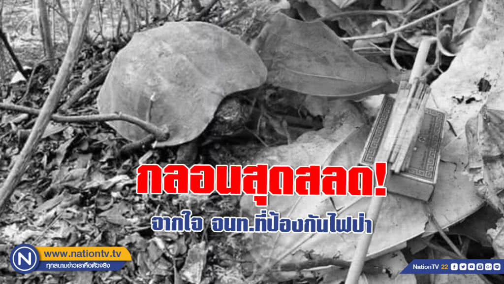 กรมอุทยานฯ โพสต์กลอนสุดสลด ถึงเรื่องไฟป่า