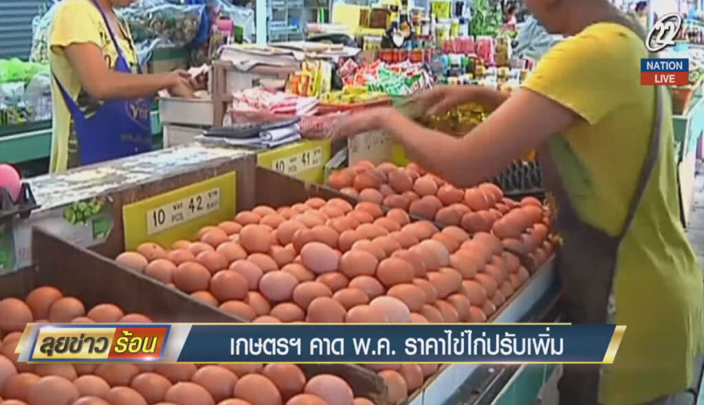 เกษตรฯ คาด พ.ค.ราคาไข่ไก่ปรับเพิ่ม เกษตรฯ คาด พ.ค.ราคาไข่ไก่ปรับเพิ่ม