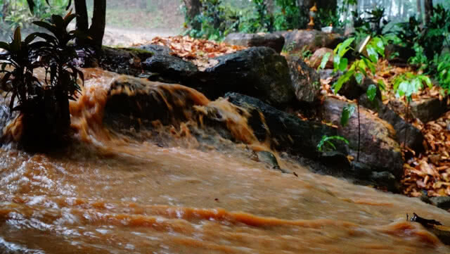 พัทลุง-จนท.เร่งประกาศห้าม นทท.ลงเล่นน้ำตก หลังฝนตกเกรงเกิดน้ำป่าไหลหลาก