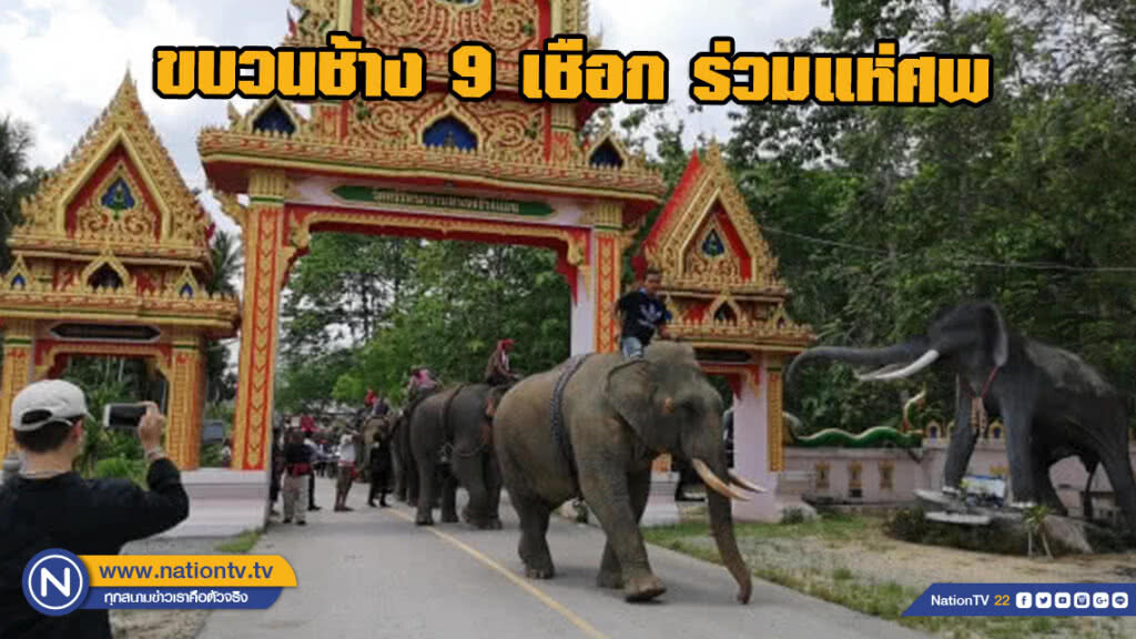 ขบวนช้าง 9 เชือก ร่วมแห่ศพ