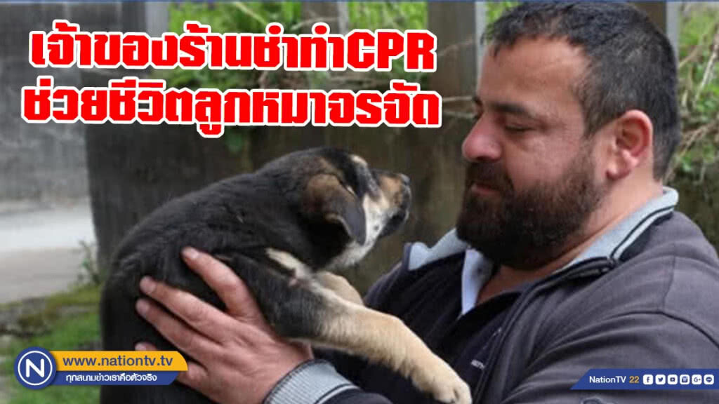 เจ้าของร้านชำในตุรกี เมาท์ทูเมาท์ ช่วยชีวิตลูกหมาจรจัด