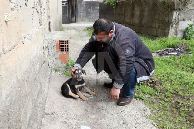 เจ้าของร้านชำในตุรกี เมาท์ทูเมาท์ ช่วยชีวิตลูกหมาจรจัด