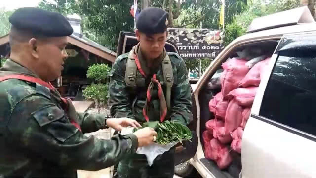 ทหารจับลักลอบขนใบกระท่อมจากมาเลย์ 1 ตัน