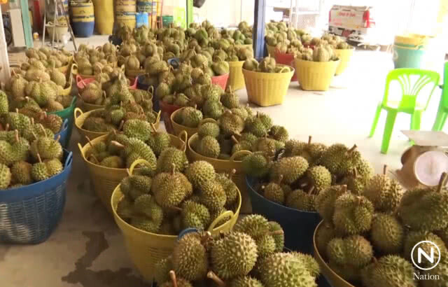 หนุ่มจีนผิดหวัง! ไม่รู้ยกเลิก บินมาสมัครเป็นลูกเขยป๋านนท์