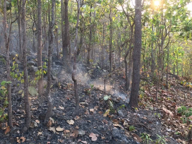 ไฟไหม้เชียงดาวหนักสุดในรอบ 40 ปี