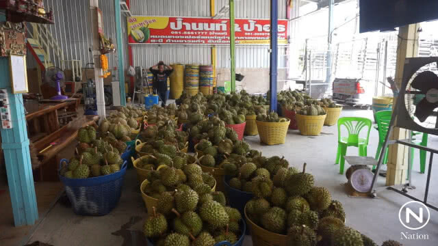 หนุ่มจีนผิดหวัง! ไม่รู้ยกเลิก บินมาสมัครเป็นลูกเขยป๋านนท์