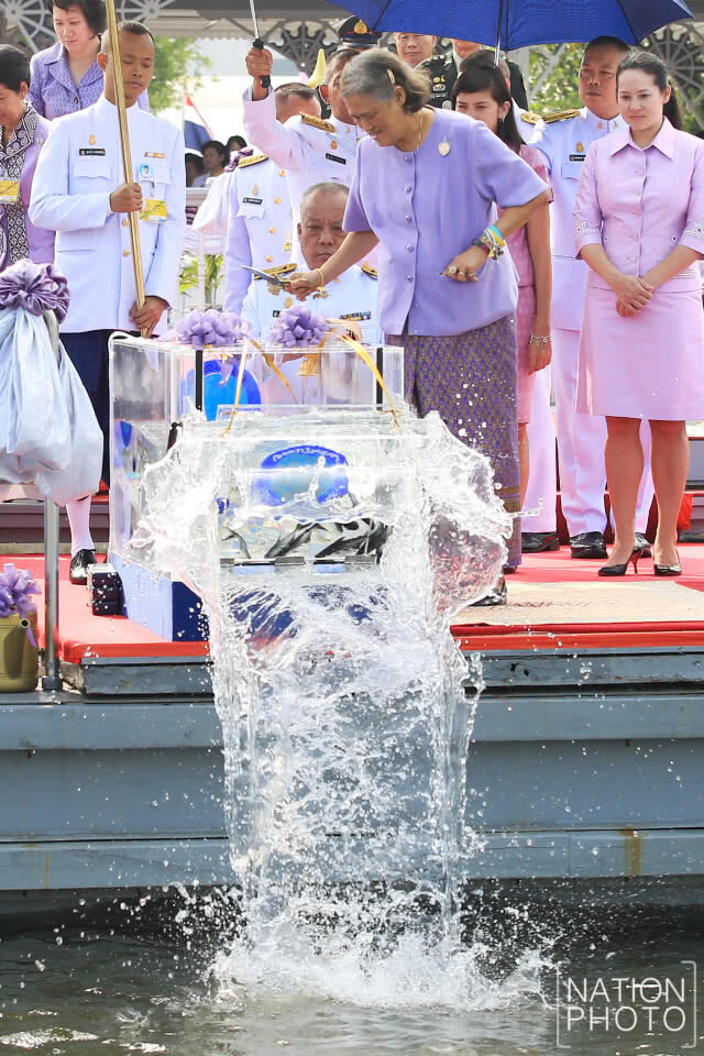 สมเด็จพระเทพฯ ทรงบำเพ็ญพระราชกุศลปล่อยพันธุ์สัตว์น้ำ เนื่องในโอกาสวันคล้ายวันพระราชสมภพ