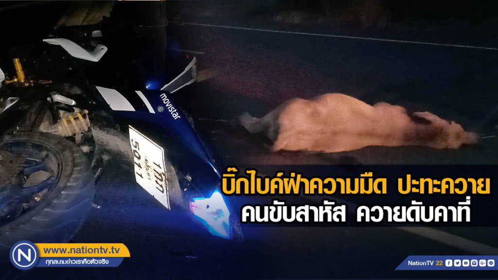 บิ๊กไบค์ฝ่าความมืด ปะทะควาย คนขับสาหัส ควายดับคาที่ บิ๊กไบค์ฝ่าความมืด ปะทะควาย คนขับสาหัส ควายดับคาที่
