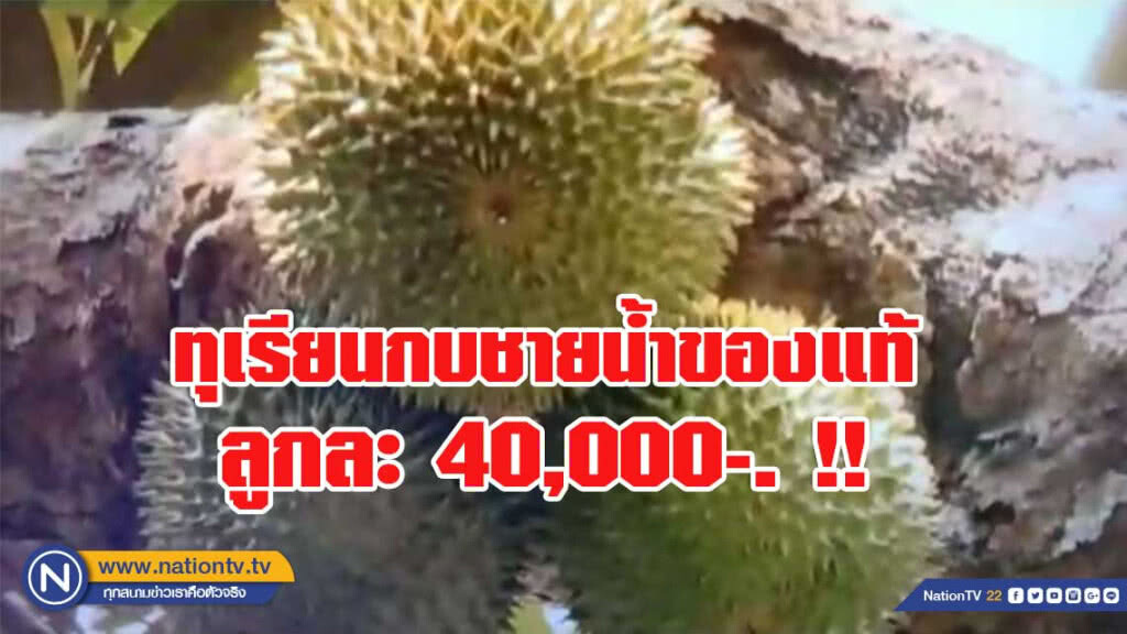 ทุเรียน ลูกละ 40,000!! ทุเรียน ลูกละ 40,000!!