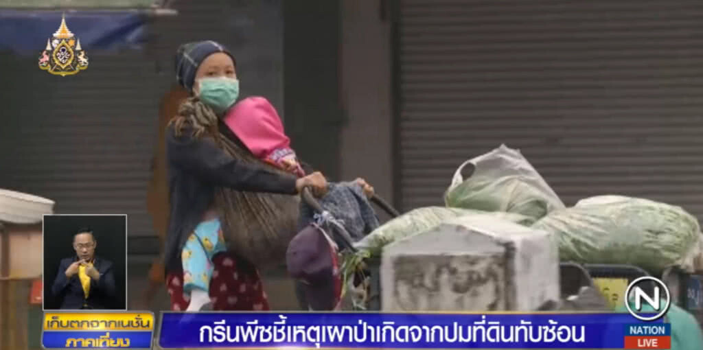 กรีนพีซ ชี้การแบ่งทรัพยากรไม่ลงตัว สร้างความโกรธแค้น ชนวนเผาป่า