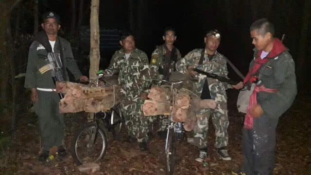 วางแผนดักซุ่มขบวนการขนไม้นายทุนกัมพูชา คนร้ายไหวตัวทันอาศัยความมืดหลบหนีได้