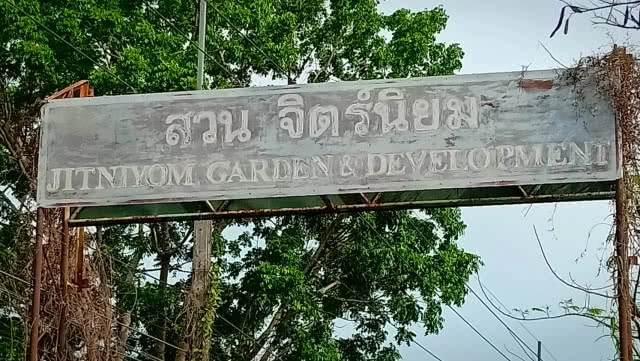 ทุเรียน ลูกละ 40,000!!