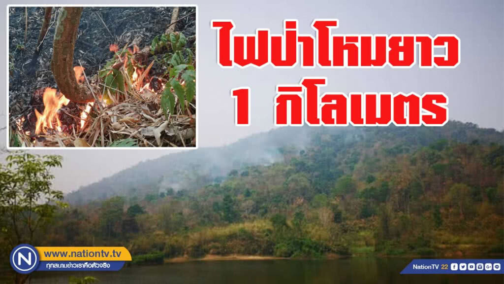เผาป่ารายวัน ไฟโหม ดอยโตน เชียงราย