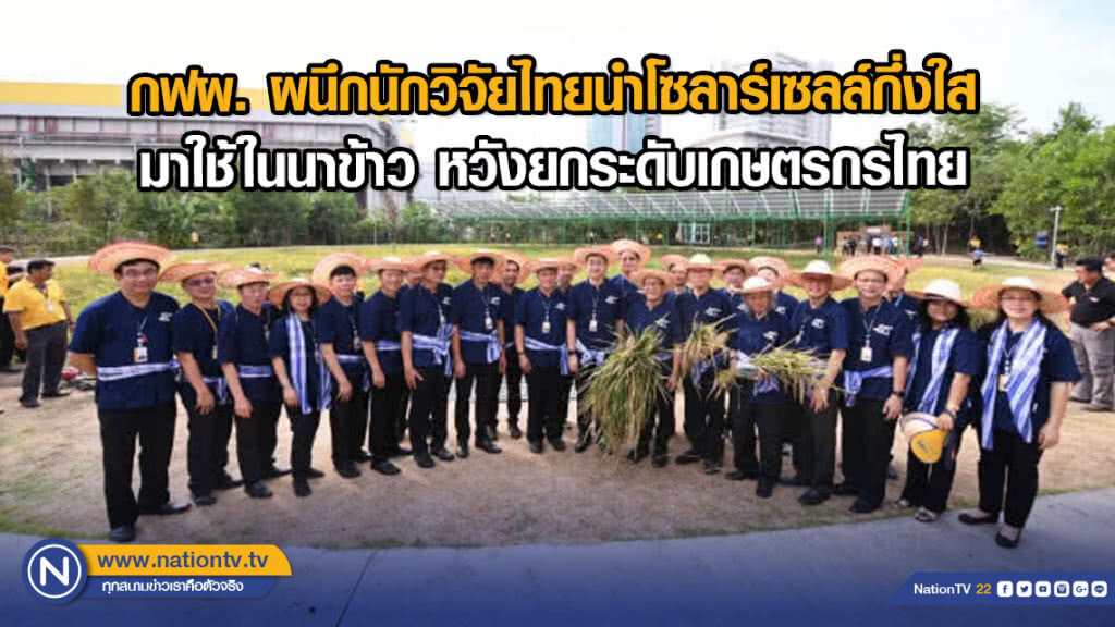 กฟผ. ผนึกนักวิจัยไทยนำโซลาร์เซลล์กึ่งใสมาใช้ในนาข้าว หวังยกระดับเกษตรกรไทย