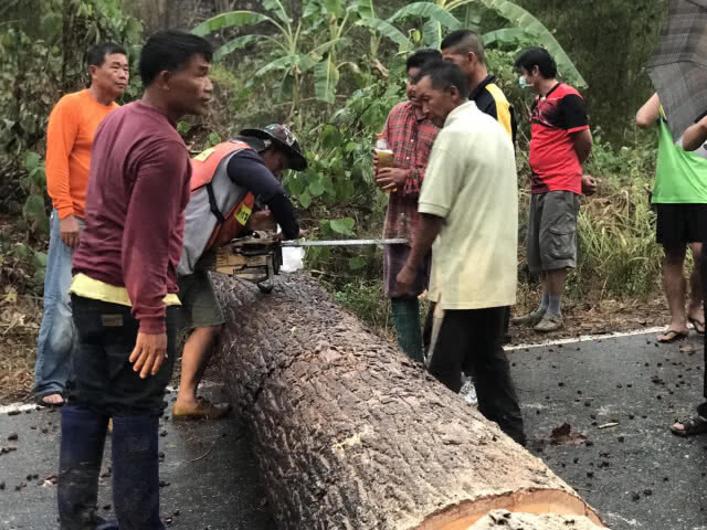 ไฟป่าแม่ฮ่องสอนยังมีหลายจุด เรียกประชุมด่วนแก้ปัญหา