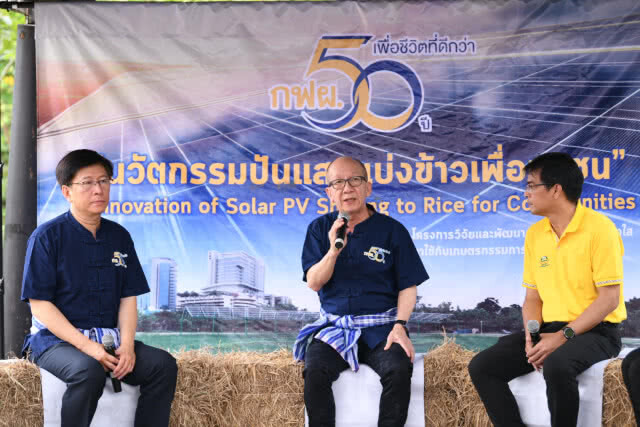 กฟผ. ผนึกนักวิจัยไทยนำโซลาร์เซลล์กึ่งใสมาใช้ในนาข้าว หวังยกระดับเกษตรกรไทย