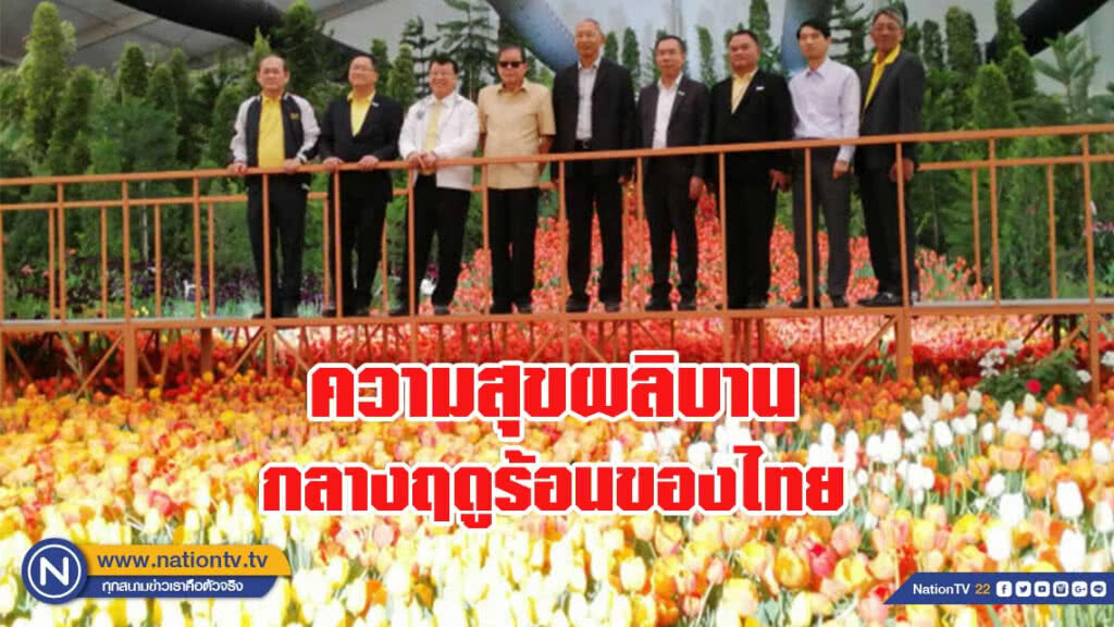 เชิญสัมผัสไม้เมืองหนาว ความสุขผลิบานกลางฤดูร้อนของไทย เชิญสัมผัสไม้เมืองหนาว ความสุขผลิบานกลางฤดูร้อนของไทย