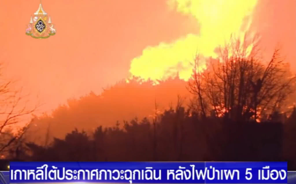 เกาหลีใต้ประกาศภาวะฉุกเฉิน หลังไฟป่าเผา 5 เมือง