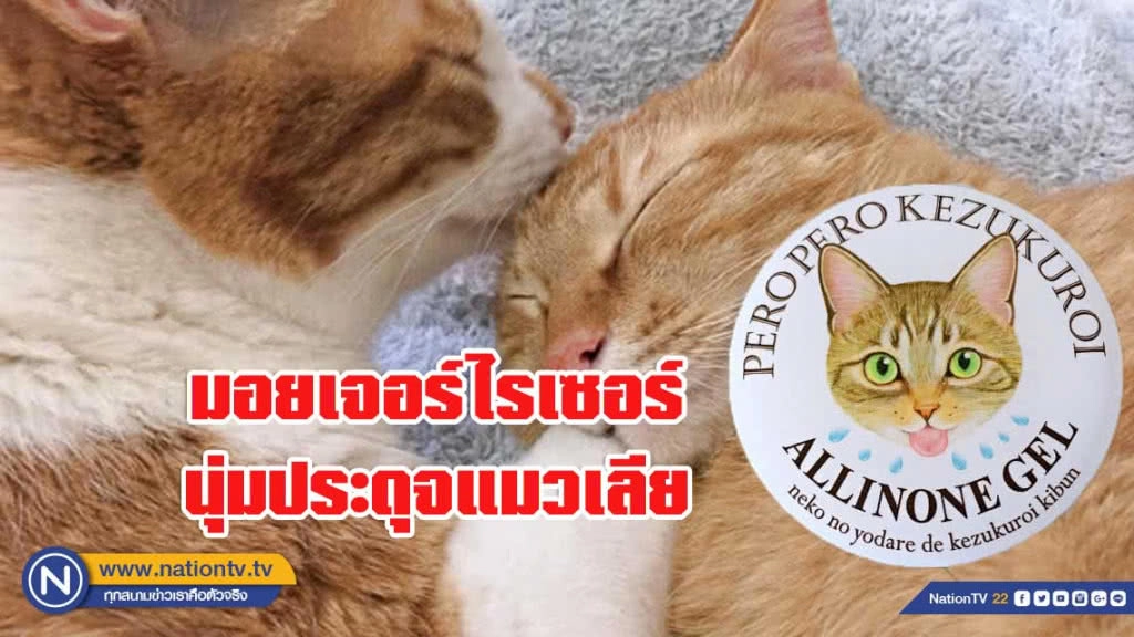 ญี่ปุ่นเปิดตัวมอยเจอร์ไรเซอร์นุ่มประดุจแมวเลีย ญี่ปุ่นเปิดตัวมอยเจอร์ไรเซอร์นุ่มประดุจแมวเลีย