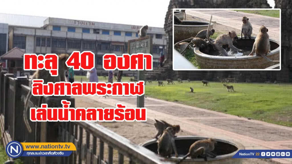 เกือบทะลุ 40 องศา ลิงศาลพระกาฬเล่นน้ำคลายร้อน