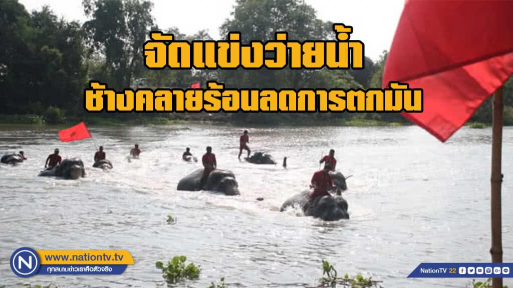 วังช้างกรุงเก่าจัดแข่งว่ายน้ำช้างคลายร้อนลดการตกมัน วังช้างกรุงเก่าจัดแข่งว่ายน้ำช้างคลายร้อนลดการตกมัน