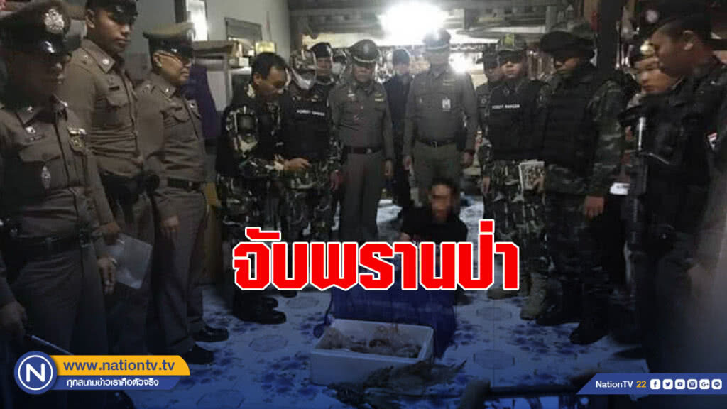 จับพรานป่าอาศัยช่วงจนท.ดอยหลวงเชียงดาวชุลมุน​ดับไฟป่า​ ออกล่าสัตว์​