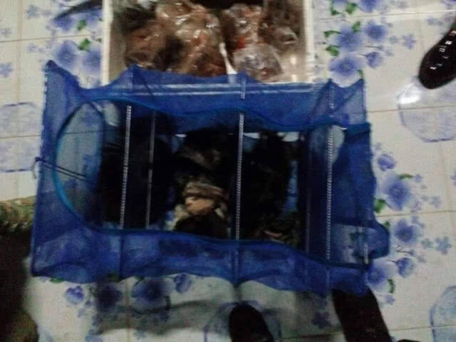 จับพรานป่าอาศัยช่วงจนท.ดอยหลวงเชียงดาวชุลมุน​ดับไฟป่า​ ออกล่าสัตว์​