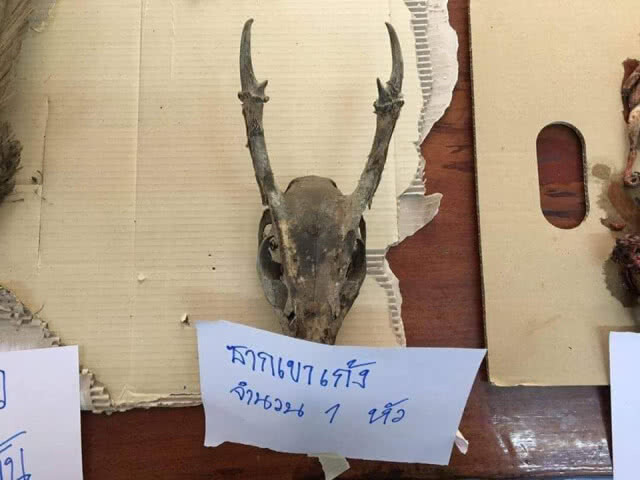 จับพรานป่าอาศัยช่วงจนท.ดอยหลวงเชียงดาวชุลมุน​ดับไฟป่า​ ออกล่าสัตว์​